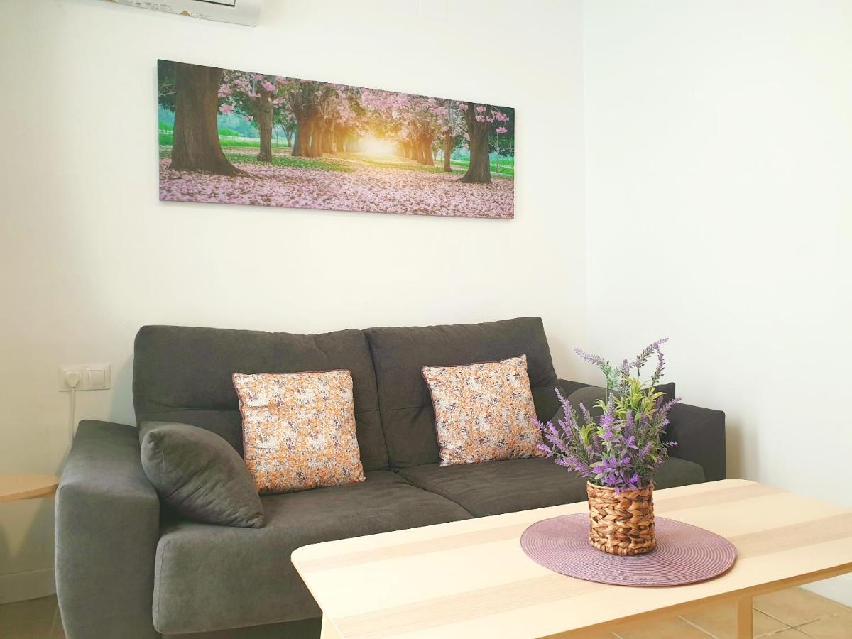 Economical Homes In Center 말라가 외부 사진